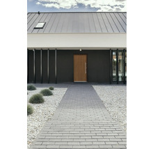Moderne Hausfassade mit Pflasterweg und Eingangstür