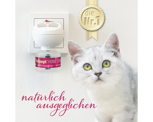 FeliSEPT Home Comfort Verdampfer mit Katze im Vordergrund