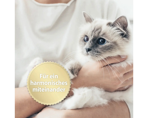 "Person hält Katze im Arm