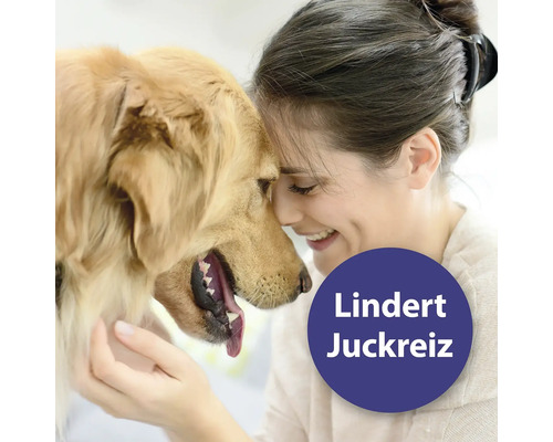 "Eine Frau lächelt, während sie einen Hund an der Stirn berührt