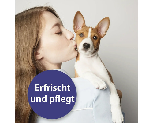 Frau küsst Hund, im Vordergrund steht der Text Erfrischt und pflegt.