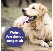 Ein Retriever liegt im Schlamm. Der Text im Bild lautet: Wehrt Verschmutzungen ab.