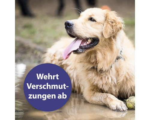 Ein Retriever liegt im Schlamm. Der Text im Bild lautet: Wehrt Verschmutzungen ab.