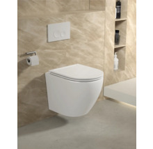 Wandhängendes WC mit Betätigungsplatte und Toilettenpapierhalter in einem Badezimmer.