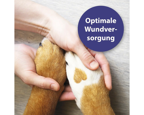 "Eine Person hält die Pfote eines Hundes