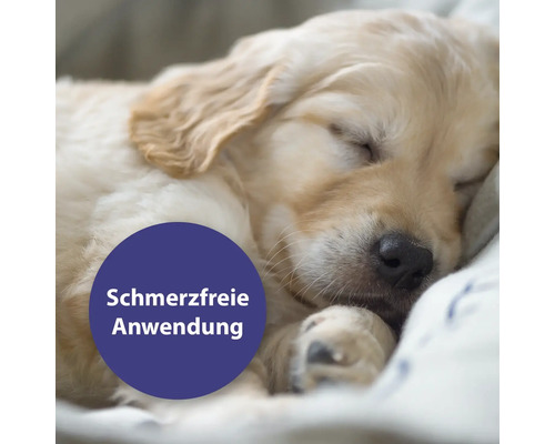 Schlafender Welpe mit dem Hinweis schmerzfreie Anwendung