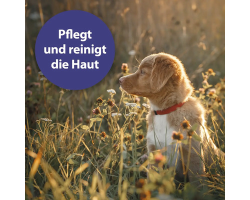Ein Hund mit Halsband sitzt im Gras. Text im Bild: Pflegt und reinigt die Haut.