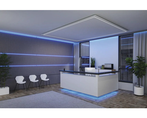 Empfangsbereich mit Rezeption, Stühlen und Pflanzen in einem modern gestalteten Büro.