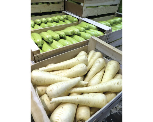 Holzkisten gefüllt mit Pastinaken und Zucchini