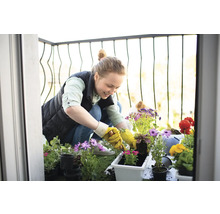 Frau pflanzt Blumen auf einem Balkon mit verschiedenen Blumen und Pflanzgefäßen.