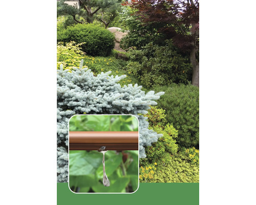 Nahaufnahme eines braunen Bewässerungsschlauchs mit Tropfer vor einem Garten mit verschiedenen Pflanzen und Sträuchern.