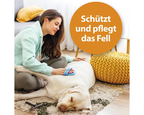 Frau bürstet Hund mit Fellpflegebürste.