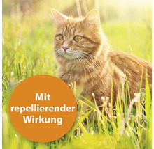 Zecken- und Flohschutz ARDAP Spot-On für Katzen bis 4 kg, 3 Tuben je 0,4 ml, bis zu 12 Wochen nachhaltiger Schutz