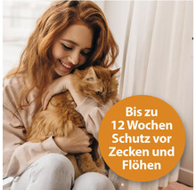 Zecken- und Flohschutz ARDAP Spot-On für Katzen bis 4 kg, 3 Tuben je 0,4 ml, bis zu 12 Wochen nachhaltiger Schutz