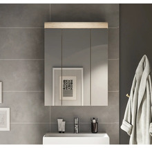 Badezimmer mit Spiegelschrank über einem Waschbecken
