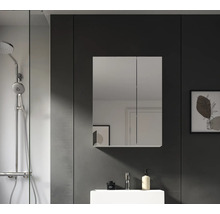 Badezimmer mit Spiegelschrank, Waschbecken und Dusche