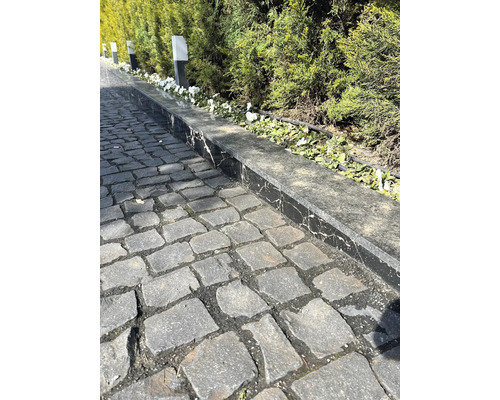 Gepflasterter Weg mit Blumenbeet und Hecke