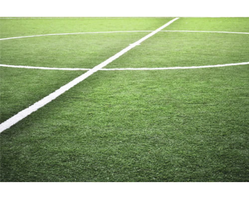 Kunstrasen Fußballfeld mit weißen Linien