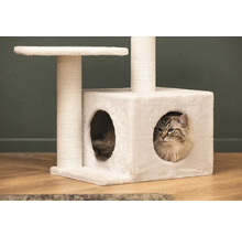 Katze in einem weißen Kratzbaum mit Liegeflächen und Kratzsäule