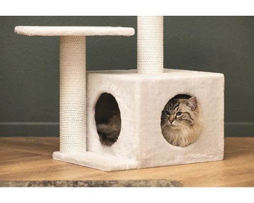 Katze in einem weißen Kratzbaum mit Liegeflächen und Kratzsäule