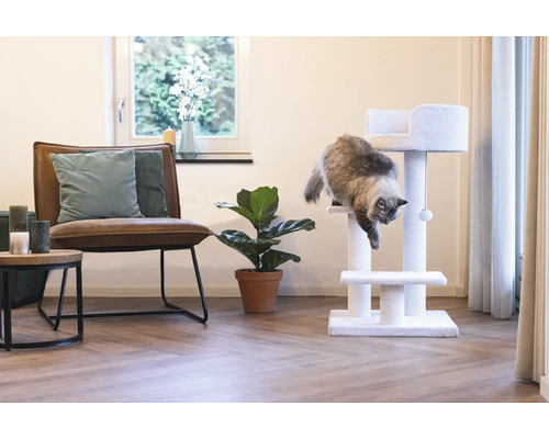 Wohnzimmer mit Katzenkratzbaum, Sessel und Zimmerpflanze