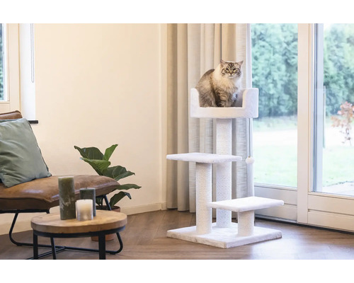 Katze auf einem mehrstufigen Kratzbaum im Wohnzimmer