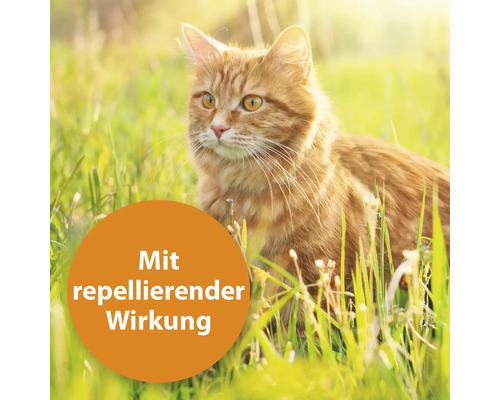Eine rote Katze liegt im Gras, mit dem Hinweis: Mit repellierender Wirkung.