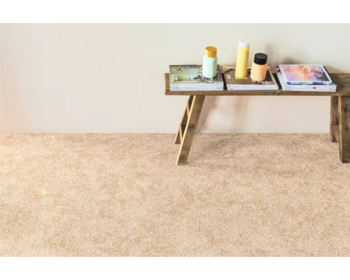 Beige Teppichfläche mit Holzbank, Büchern und Flaschen