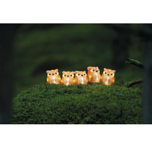 Fünf leuchtende Eulenfiguren aus Kunststoff auf einem moosbedeckten Untergrund.