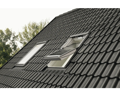 Dachansicht mit zwei Dachfenstern, eines davon geöffnet