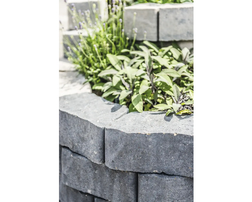 Gartenmauer aus Betonsteinen mit Bepflanzung