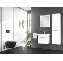 Modernes Badezimmer mit Wand-WC, Waschtisch, Spiegelschrank und Hochschrank