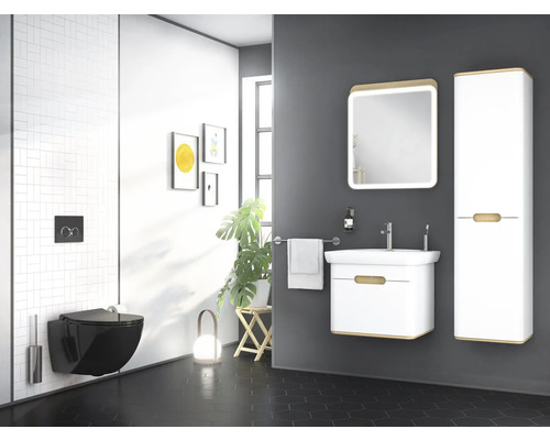 Modernes Badezimmer mit Wand-WC, Waschtisch, Spiegelschrank und Hochschrank