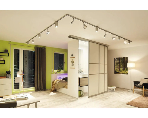 Wohnraum mit Deckenschiene und Spots, Bettnische, Schiebetür und diversen Möbeln