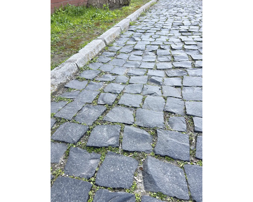 Pflasterweg mit Natursteinpflaster und Bordstein