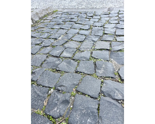 Pflastersteine aus Stein mit Bewuchs