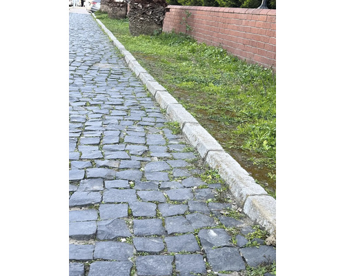 Gepflasterter Weg mit Randsteinen und Begrünung
