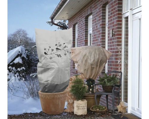 Winterliche Szene mit Pflanzen, die mit Vlieshauben und Winterschutzsäcken vor Kälte geschützt werden.