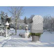 Winterlandschaft mit Pflanze im Topf und Winterschutzhaube