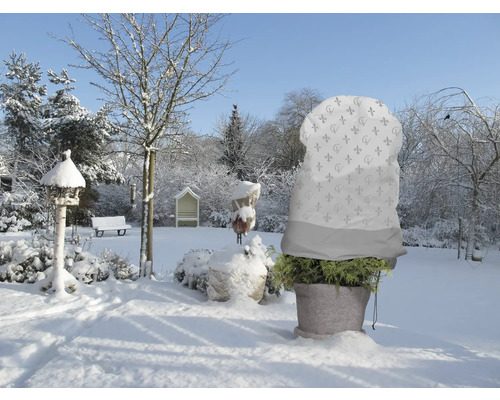 Winterlandschaft mit Pflanze im Topf und Winterschutzhaube