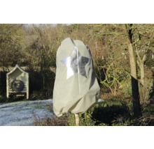 Pflanzenschutzhaube mit Sternmotiv im winterlichen Garten