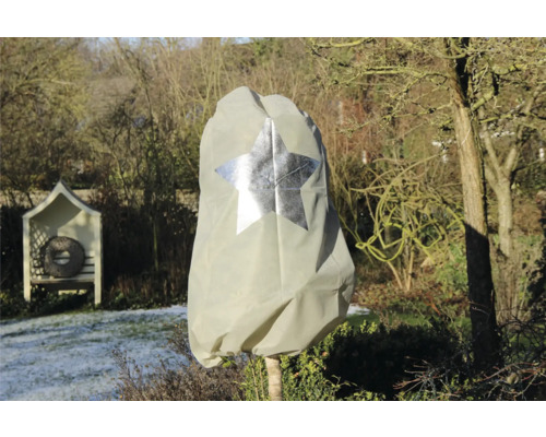 Pflanzenschutzhaube mit Sternmotiv im winterlichen Garten