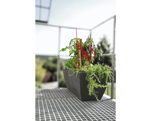 Pflanzgefäß mit Chili und Kräutern auf einem Balkon