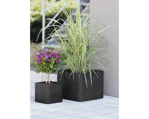 Zwei bepflanzte, würfelförmige Pflanzkübel im Außenbereich, bepflanzt mit Zierpflanzen