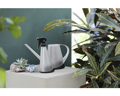 Gießkanne und Pflanzensprüher neben Sukkulenten