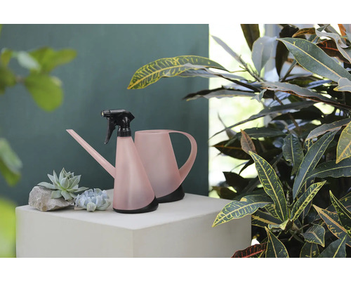 Gießkanne und Sprühflasche für Pflanzen auf einem Podest