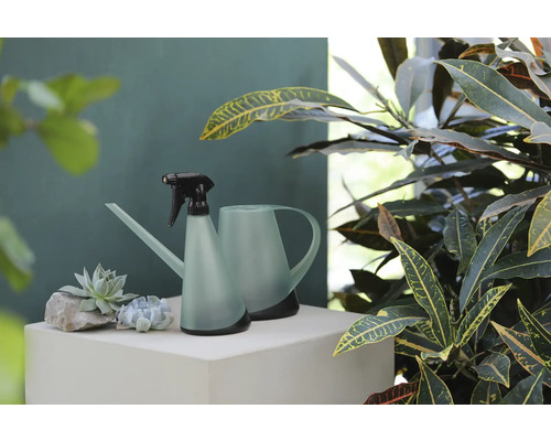 Gießkanne und Sprühflasche für Zimmerpflanzen auf einem Podest