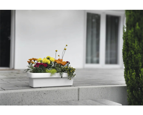 Balkonkasten mit Blumen vor einem Haus