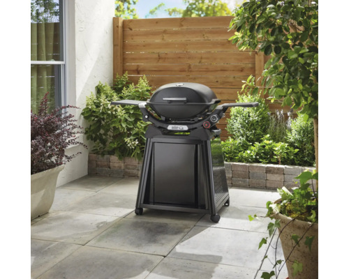 Weber Q Gasgrill auf einer Terrasse mit Pflanzen