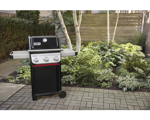 Weber Spirit Gasgrill im Garten